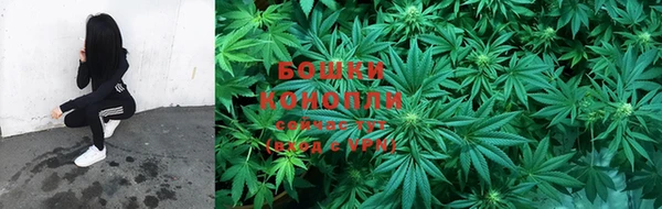 стафф Заволжье